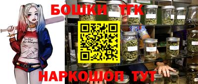 крисы Будённовск