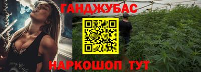 крисы Будённовск