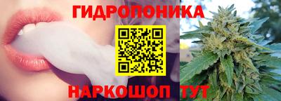гашик Бузулук
